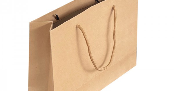 Qutuus 10x5x13 Kraft Paper Bags 100 Pcs Kraft Shopping Bags, Paper Gift  Bags, Retail Bags, Recycled Bulk Paper Bags, Brown Paper Bags with Handles